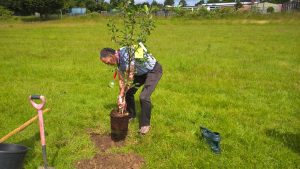 James Johnson & Co planting 3